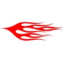 Flame 557